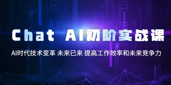 Chat AI初阶实战课，AI时代技术变革 未来已来 提高工作效率和未来竞争力-搜易资源网