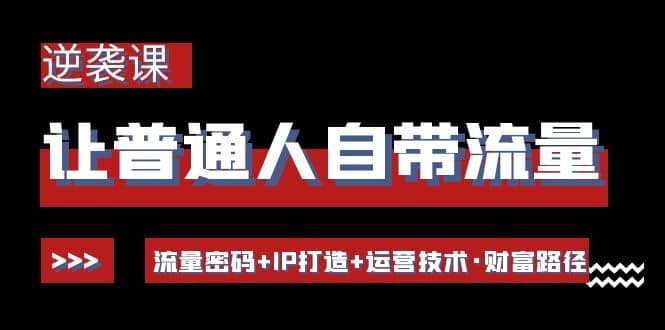 让普通人自带流量的逆袭课：流量密码+IP打造+运营技术·财富路径-搜易资源网