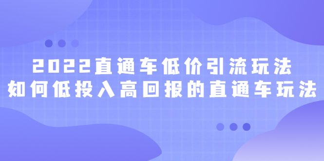 2022直通车低价引流玩法，教大家如何低投入高回报的直通车玩法-搜易资源网