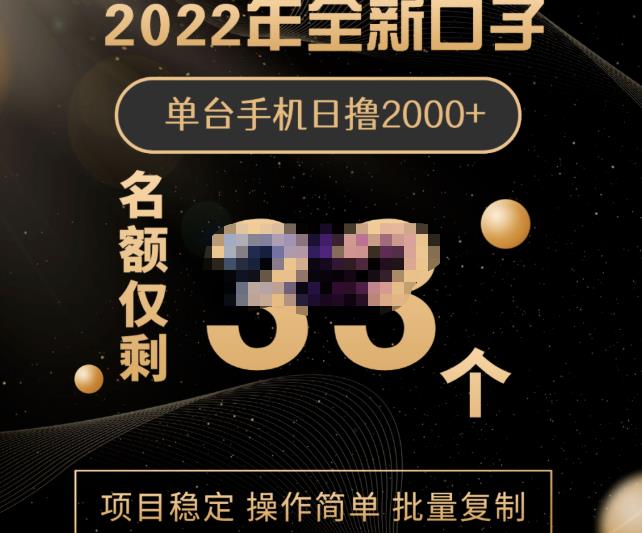 2022年全新口子，手机批量搬砖玩法，一部手机日撸2000+-搜易资源网