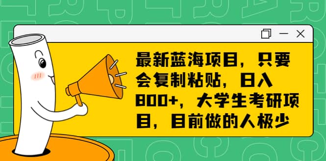 最新蓝海项目，只要会复制粘贴，日入800+，大学生考研项目，目前做的人极少-搜易资源网