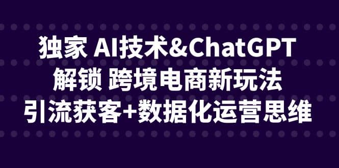 独家 AI技术ChatGPT解锁 跨境电商新玩法，引流获客+数据化运营思维-搜易资源网