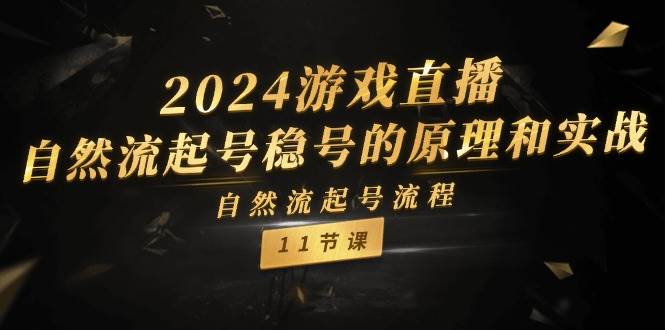 2024游戏直播-自然流起号稳号的原理和实战，自然流起号流程（11节）-搜易资源网
