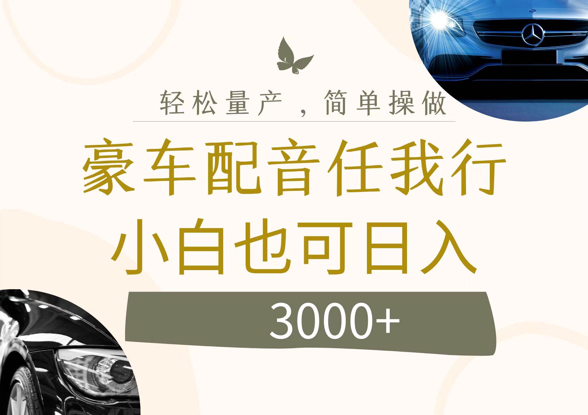 不为人知的暴力小项目，豪车配音，日入3000+-搜易资源网