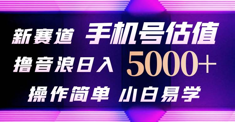 抖音不出境直播【手机号估值】最新撸音浪，日入5000+，简单易学，适合…-搜易资源网