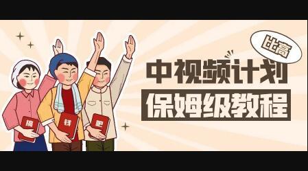 中视频项目，目前靠这个项目养了11人团队【视频课程】-搜易资源网