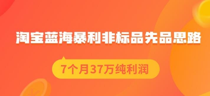 盗坤淘宝蓝海暴利非标品先品思路，7个月37万纯利润，压箱干货分享！【付费文章】-搜易资源网