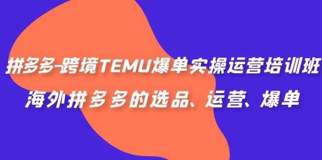 拼多多-跨境TEMU爆单实操运营培训班，海外拼多多的选品、运营、爆单-搜易资源网