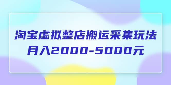 淘宝虚拟整店搬运采集玩法分享课：月入2000-5000元（5节课）-搜易资源网