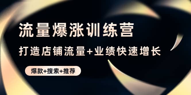 流量爆涨训练营：打造店铺流量+业绩快速增长 (爆款+搜索+推荐)-搜易资源网