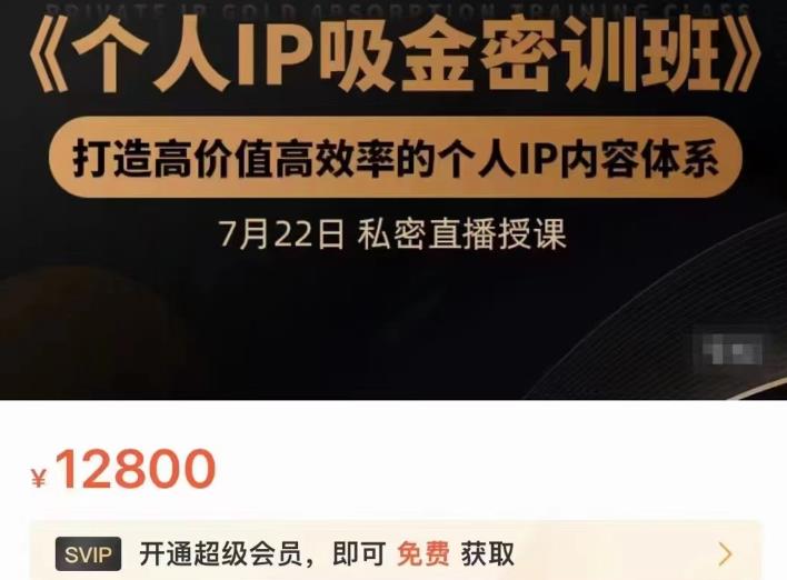 个人IP吸金密训班，打造高价值高效率的个人IP内容体系（价值12800元）-搜易资源网