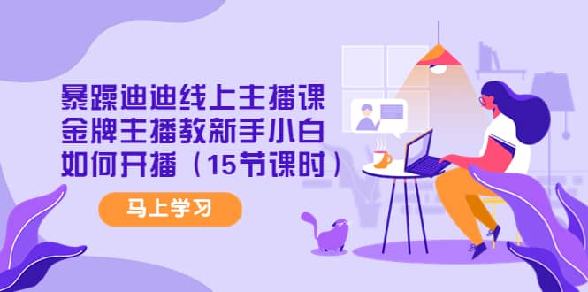 暴躁迪迪线上主播课，金牌主播教新手小白如何开播（15节课时）-搜易资源网