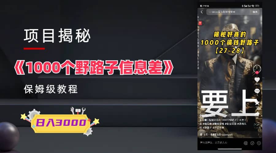 1000个野路子信息差保姆式教程-单日变现3000+的玩法解密-搜易资源网