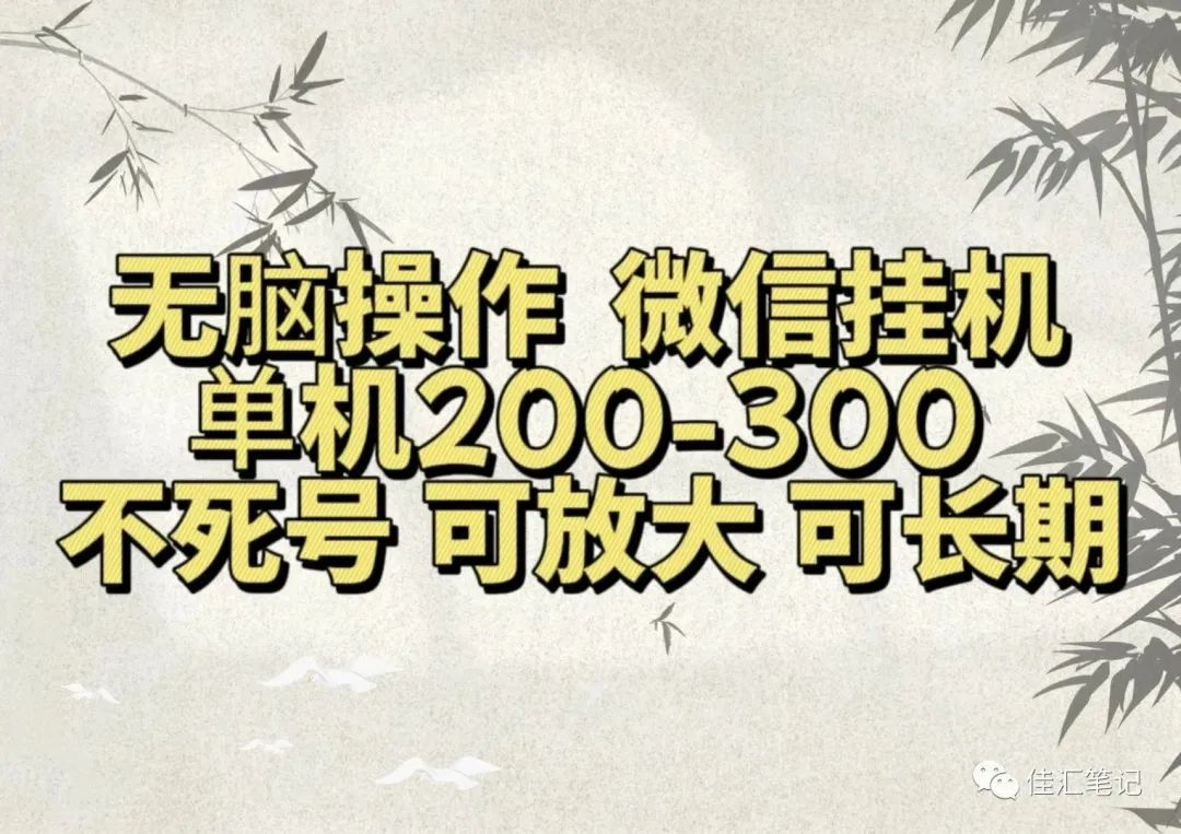 无脑操作微信视频号挂机单机200-300一天，不死号，可放大，工作室实测-搜易资源网