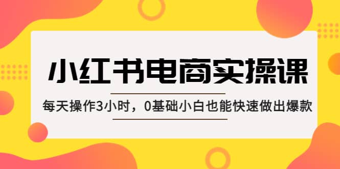 小红书·电商实操课：每天操作3小时，0基础小白也能快速做出爆款-搜易资源网