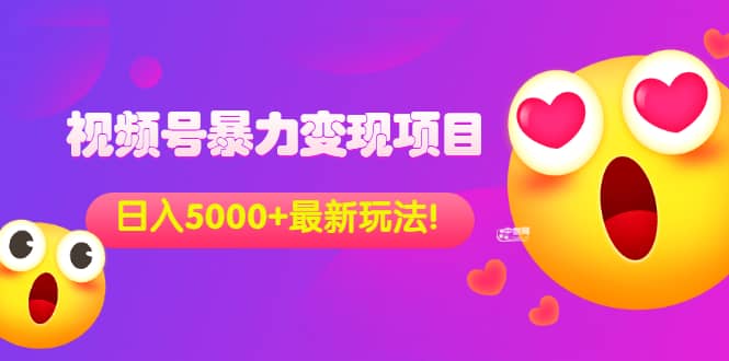 外面收费699的视频号暴力变现项目，日入5000+，简单易操作当天见效果-搜易资源网