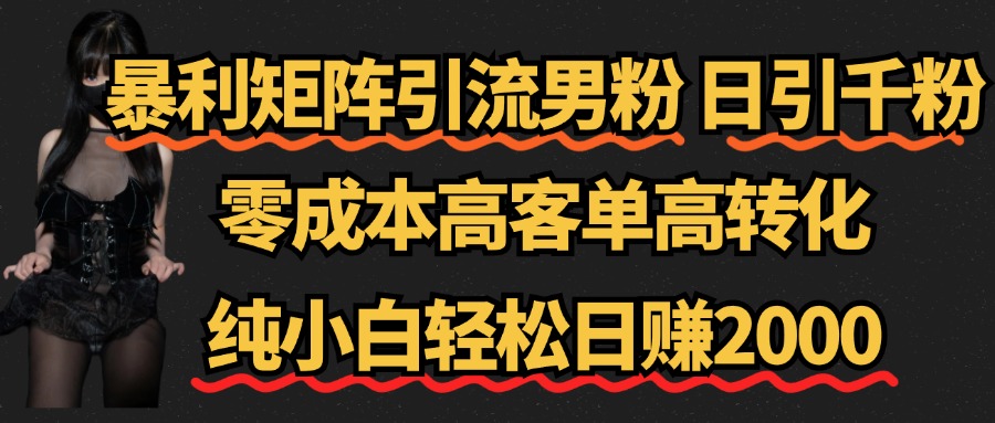 暴利矩阵引流男粉（日引千粉），零成本高客单高转化，纯小白轻松日赚2000+-搜易资源网