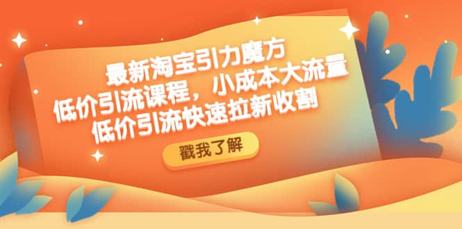 最新淘宝引力魔方低价引流实操：小成本大流量-搜易资源网