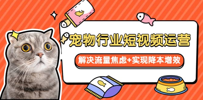 宠物/行业短视频运营 流量增长的一层窗户纸 解决流量焦虑+实现降本增效-搜易资源网