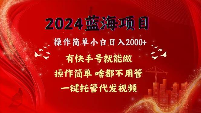 2024蓝海项目，网盘拉新，操作简单小白日入2000+，一键托管代发视频，…-搜易资源网