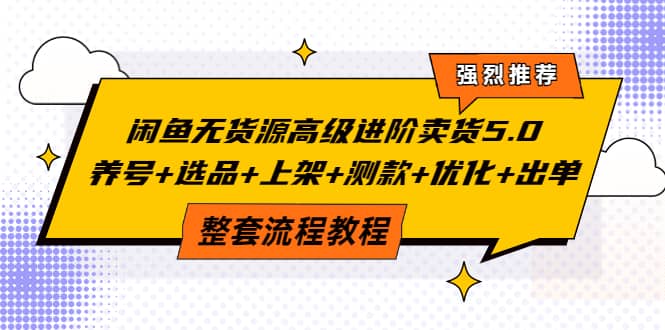 闲鱼无货源高级进阶卖货5.0，养号+选品+上架+测款+优化+出单整套流程教程-搜易资源网