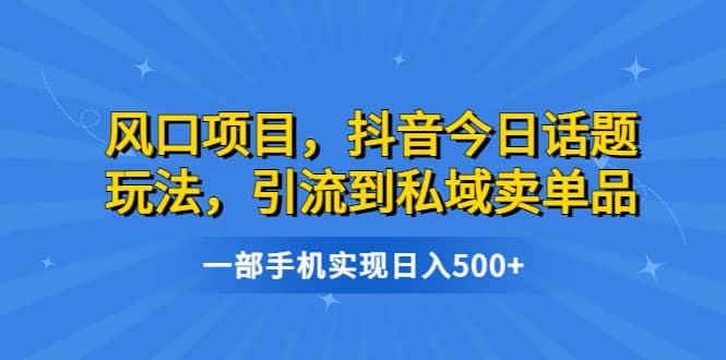 风口项目，抖音今日话题玩法，引流到私域卖单品，一部手机实现日入500+-搜易资源网
