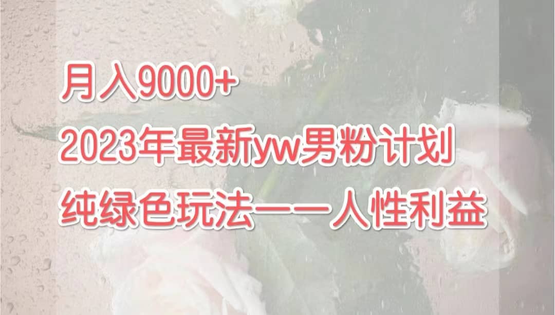 月入9000+2023年9月最新yw男粉计划绿色玩法——人性之利益-搜易资源网