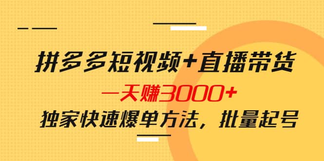 拼多多短视频+直播带货，一天赚3000+独家快速爆单方法，批量起号-搜易资源网
