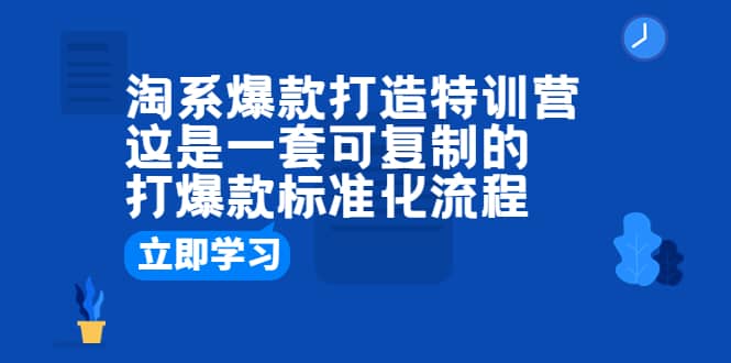 淘系爆款打造特训营：这是一套可复制的打爆款标准化流程-搜易资源网
