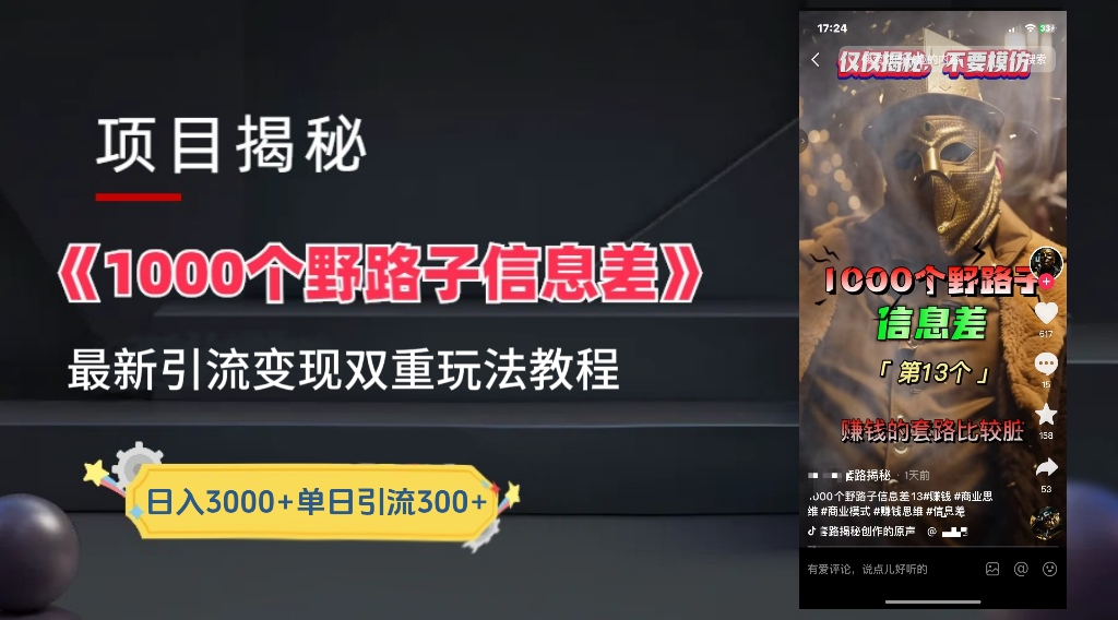 最新一千个野路子信息差玩法教程如何变现＋引流的玩法具体拆解！！！-搜易资源网