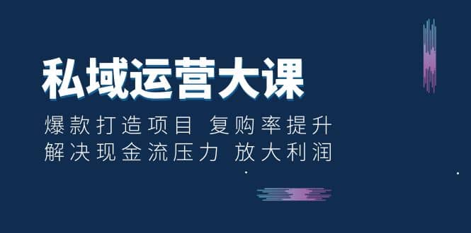 私域运营大课：爆款打造项目 复购率提升 解决现金流压力 放大利润-搜易资源网