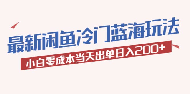2023最新闲鱼冷门蓝海玩法，小白零成本当天出单日入200+-搜易资源网