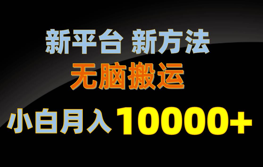 新平台新方法，无脑搬运，月赚10000+，小白轻松上手不动脑-搜易资源网