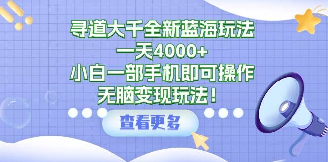 寻道大千全新蓝海玩法，一天4000+，小白一部手机即可操作，无脑变现玩法！-搜易资源网