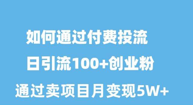 如何通过付费投流日引流100+创业粉月变现5W+-搜易资源网