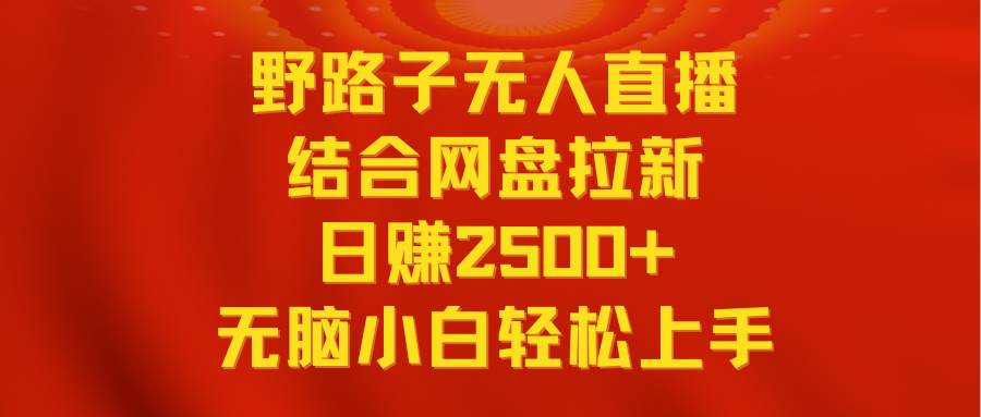 无人直播野路子结合网盘拉新，日赚2500+多平台变现，小白无脑轻松上手操作-搜易资源网