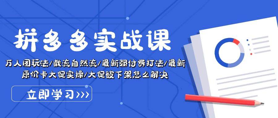 拼多多·实战课：万人团玩法/截流自然流/最新强付费打法/最新原价卡大促..-搜易资源网