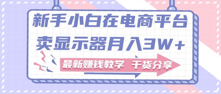 新手小白如何做到在电商平台卖显示器月入3W+，最新赚钱教学干货分享-搜易资源网