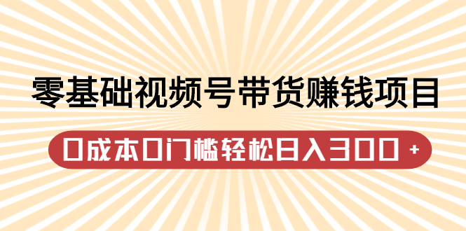 零基础视频号带货赚钱项目，0成本0门槛轻松日入300+【视频教程】-搜易资源网