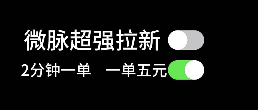 微脉超强拉新， 两分钟1单， 一单利润5块，适合小白-搜易资源网