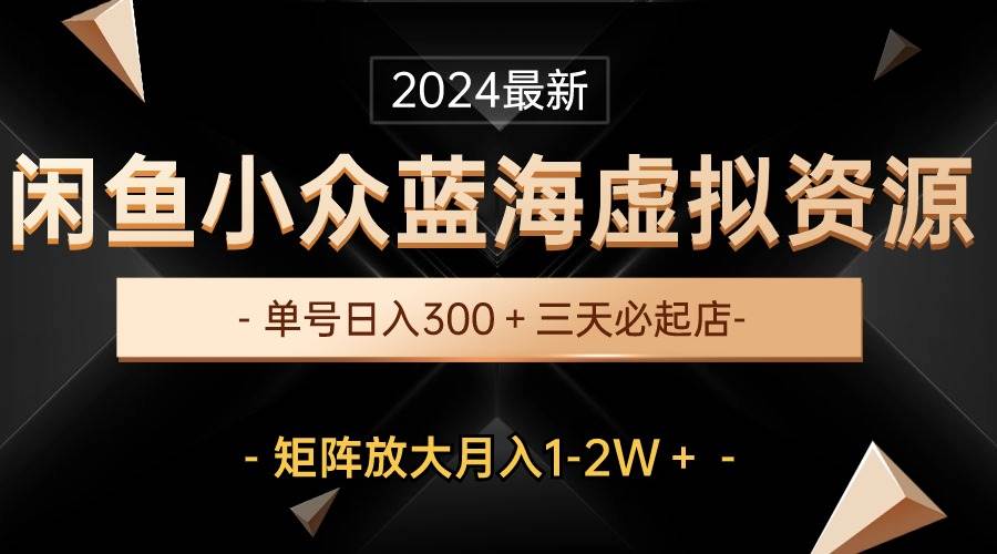 最新闲鱼小众蓝海虚拟资源，单号日入300＋，三天必起店，矩阵放大月入1-2W-搜易资源网