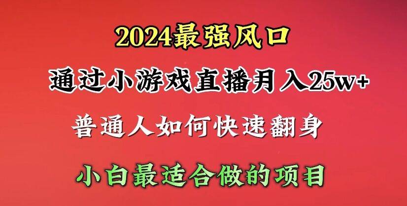 2024年最强风口，通过小游戏直播月入25w+单日收益5000+小白最适合做的项目-搜易资源网
