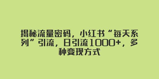 揭秘流量密码，小红书“每天系列”引流，日引流1000+，多种变现方式-搜易资源网