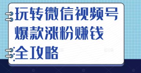 玩转微信视频号爆款涨粉赚钱全攻略，让你快速抓住流量风口，收获红利财富-搜易资源网