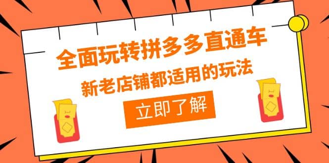 全面玩转拼多多直通车，新老店铺都适用的玩法（12节精华课）-搜易资源网