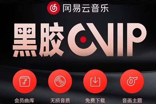 网易云撸黑胶年卡及变现方法，收益可无限放大-搜易资源网