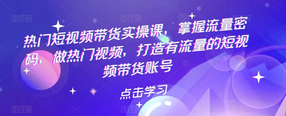 热门短视频带货实战 掌握流量密码 做热门视频 打造有流量的短视频带货账号-搜易资源网