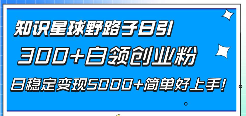 知识星球野路子日引300+白领创业粉，日稳定变现5000+简单好上手！-搜易资源网