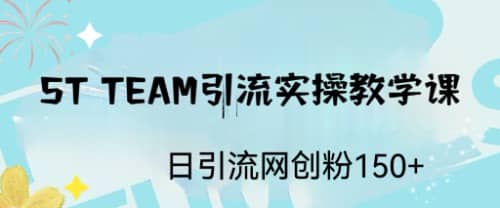 ST TEAM引流实操课，日引流网创粉100+-搜易资源网