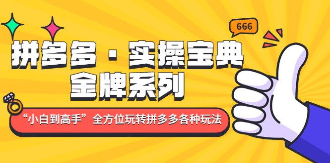 拼多多·实操宝典：金牌系列“小白到高手”带你全方位玩转拼多多各种玩法-搜易资源网